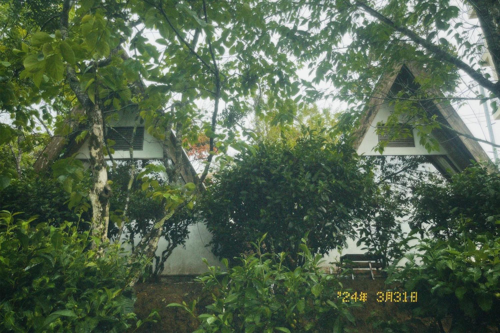 Apartmán Nap Dalat Exteriér fotografie