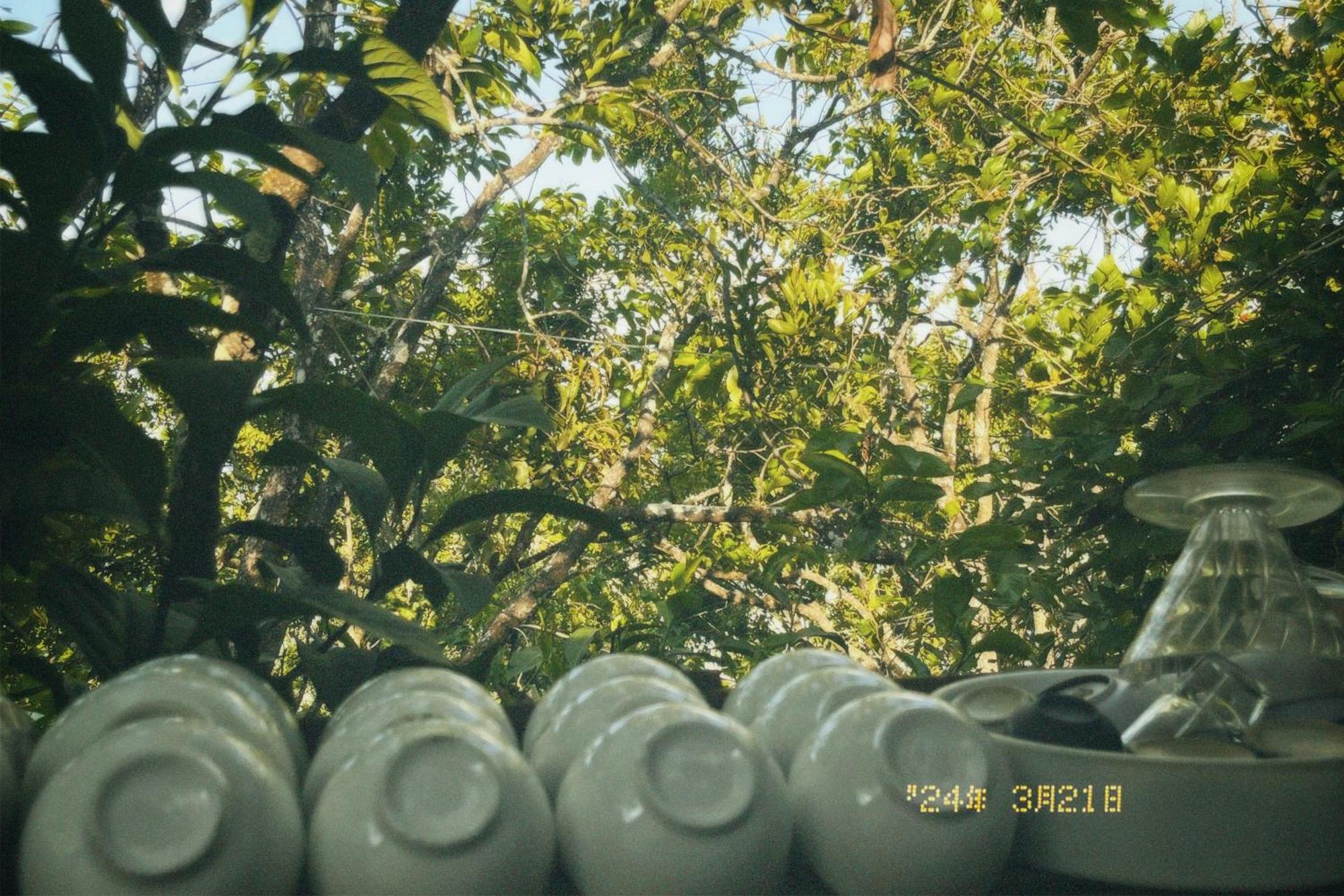 Apartmán Nap Dalat Exteriér fotografie