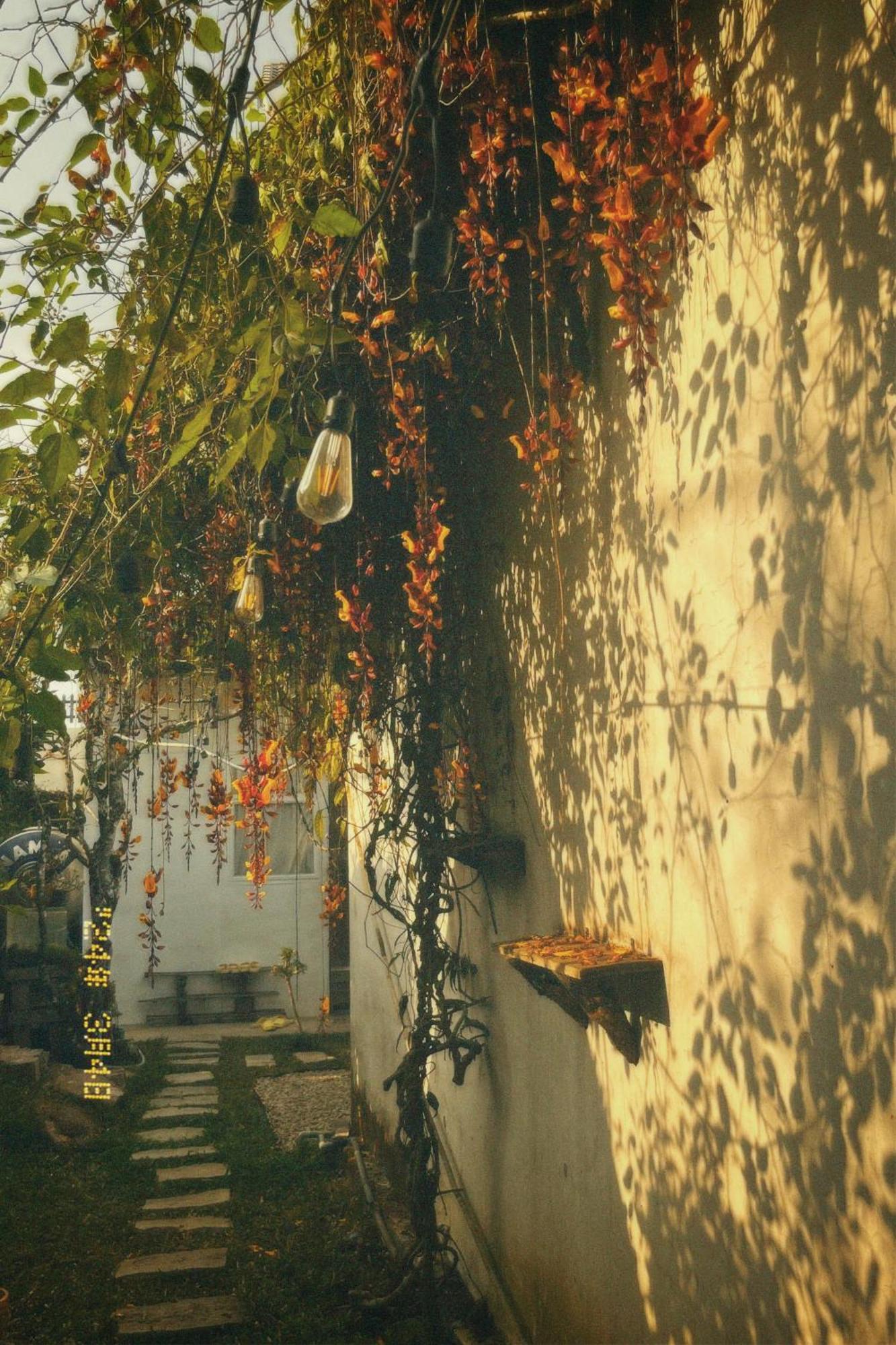 Apartmán Nap Dalat Exteriér fotografie