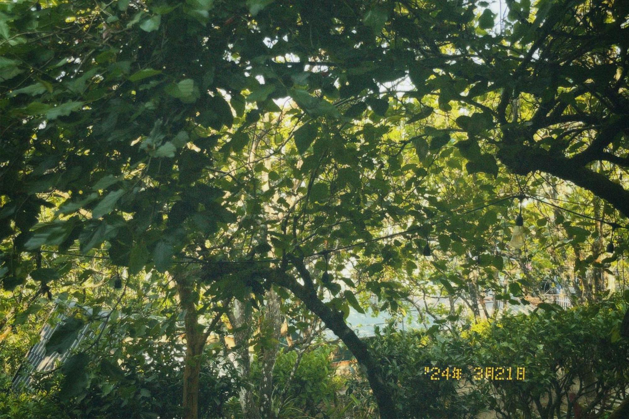 Apartmán Nap Dalat Exteriér fotografie
