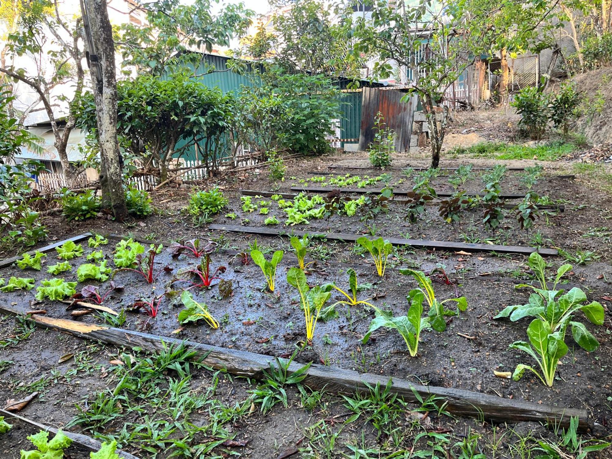 Nap O Teepee Homestay Dalat Exteriér fotografie